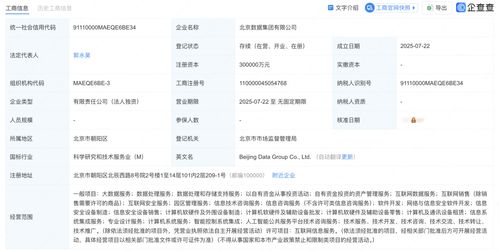 北京數(shù)據(jù)集團(tuán)正式揭牌成立，為數(shù)據(jù)處理服務(wù)注入新動力